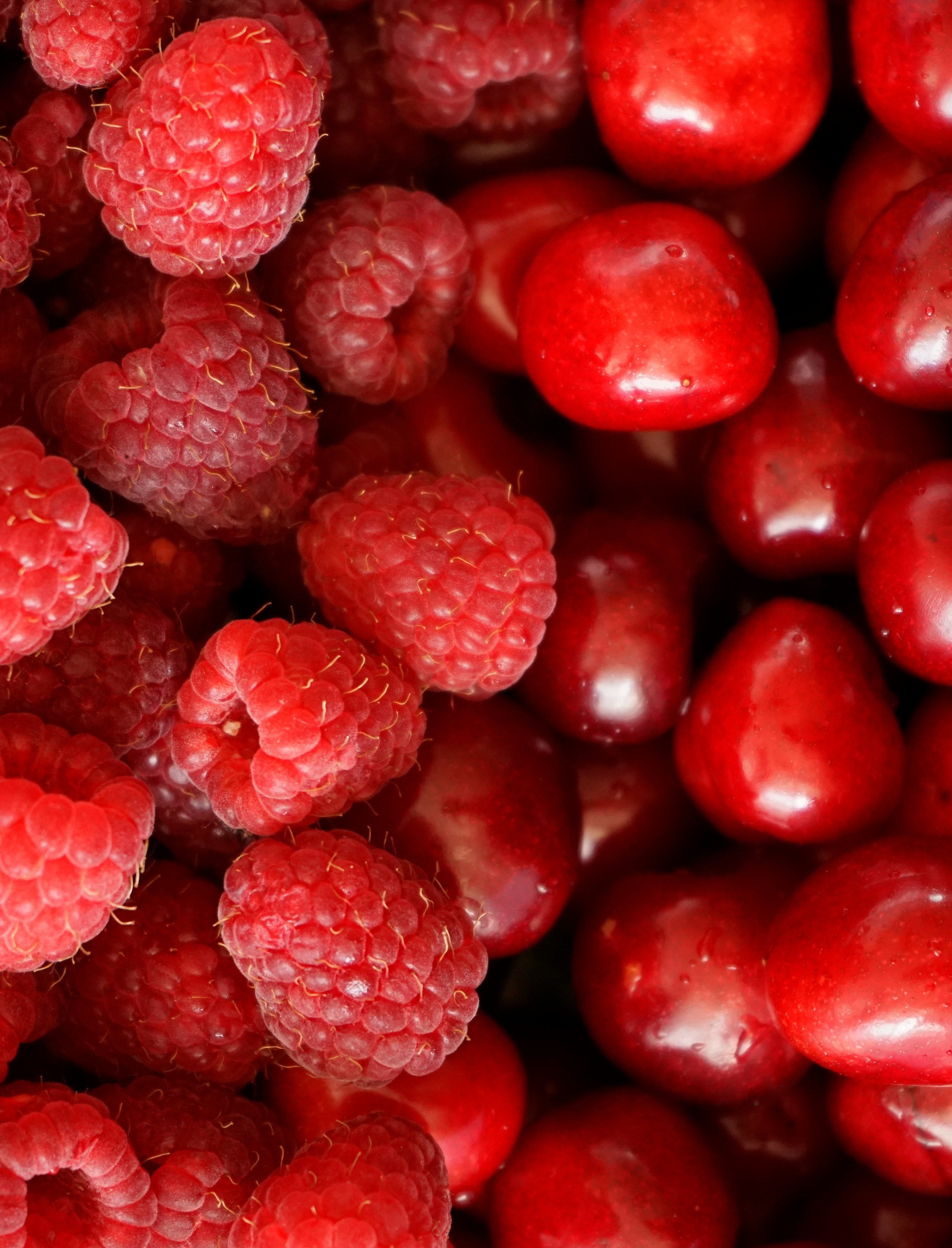 Rossolio: immagine 2